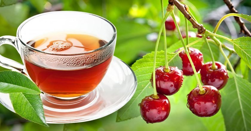 польза вишневых веточек