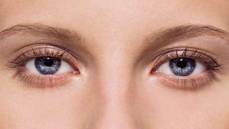 польза яиц для организма