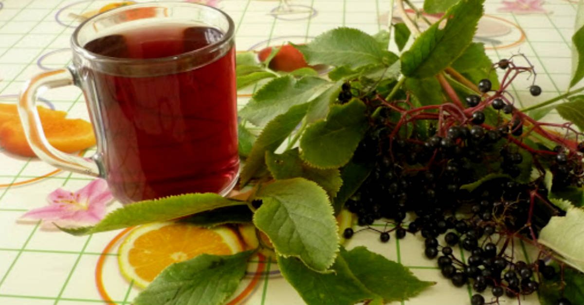 популярные запроси