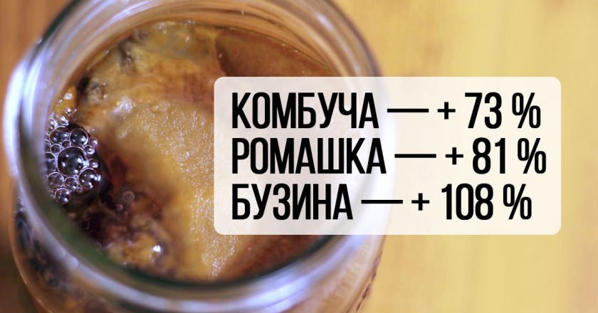 что люди ищут в гугл