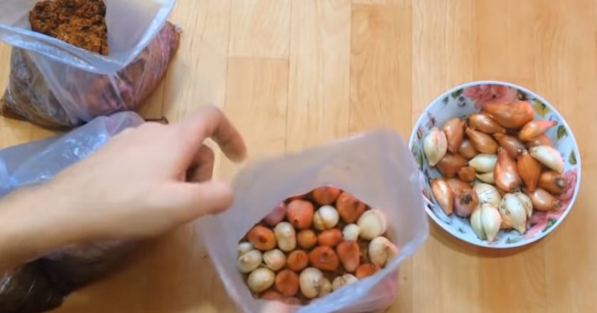 кирпичная стена на кухне