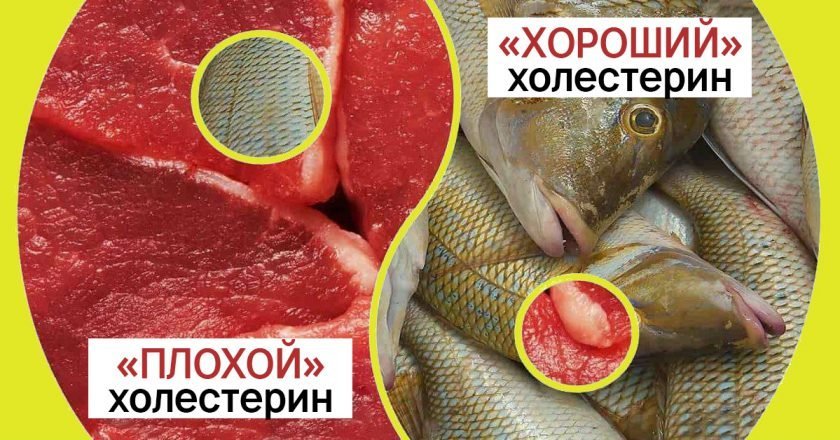холестерин
