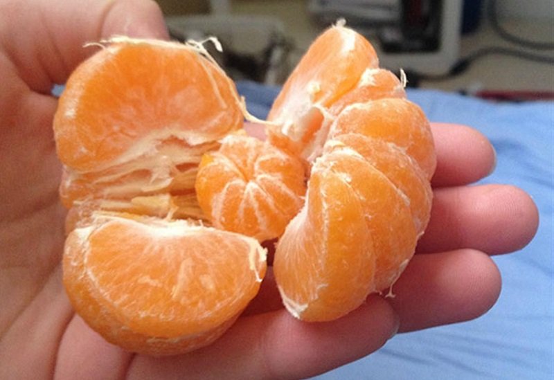 приколы про еду