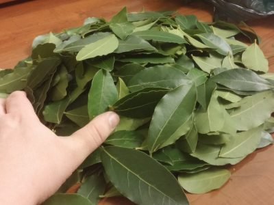Применение лаврового листа