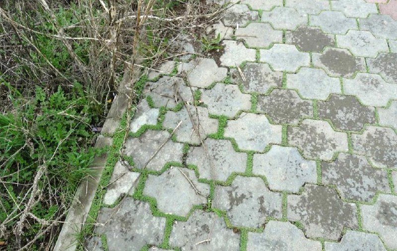 применение соли в быту