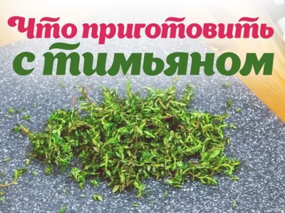 Применение тимьяна