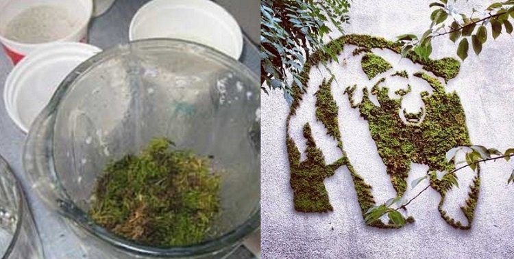 Применение йогурта в быту