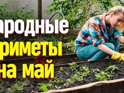 Народные приметы на май