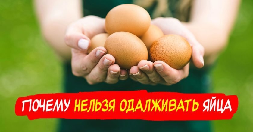 приметы про яйца