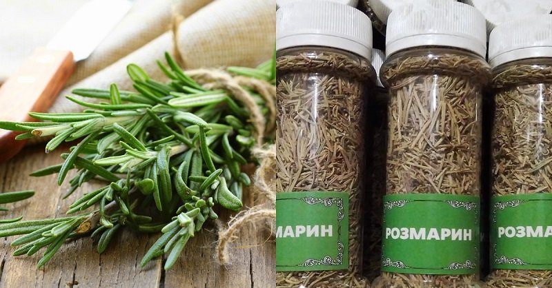 индийские приправы и специи