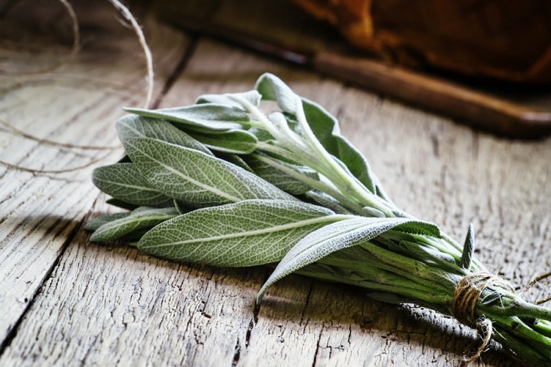 приправы и специи к мясу