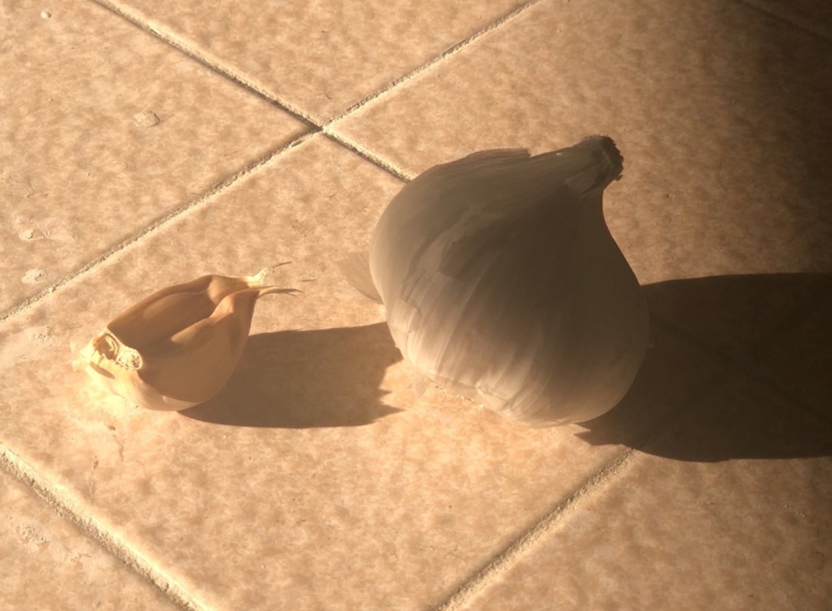 Природные антибиотики