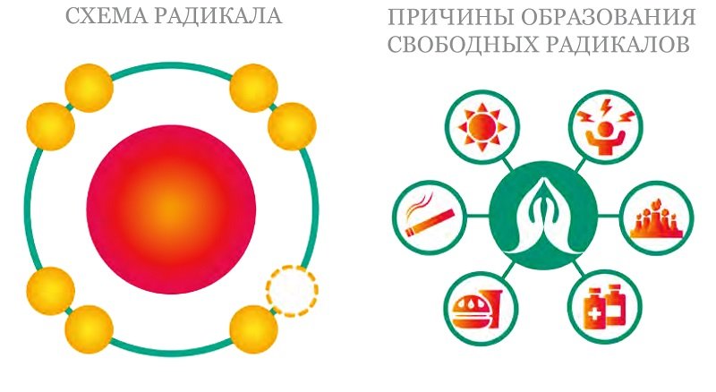 как действуют антиоксиданты