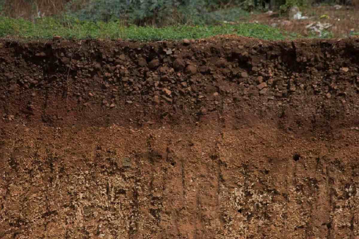 Проблемы почвы и пути их решения