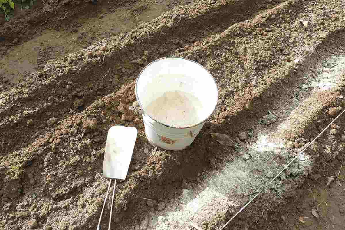 Проблемы почвы и пути их решения