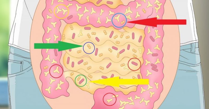 что есть, когда проблемы с кишечником
