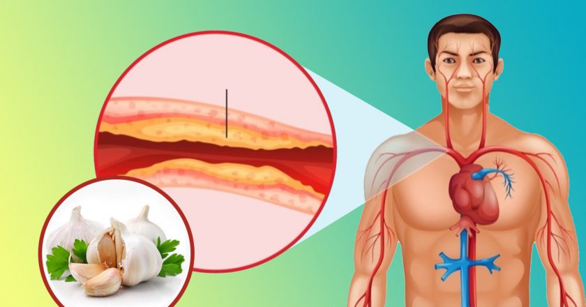 очищение организма