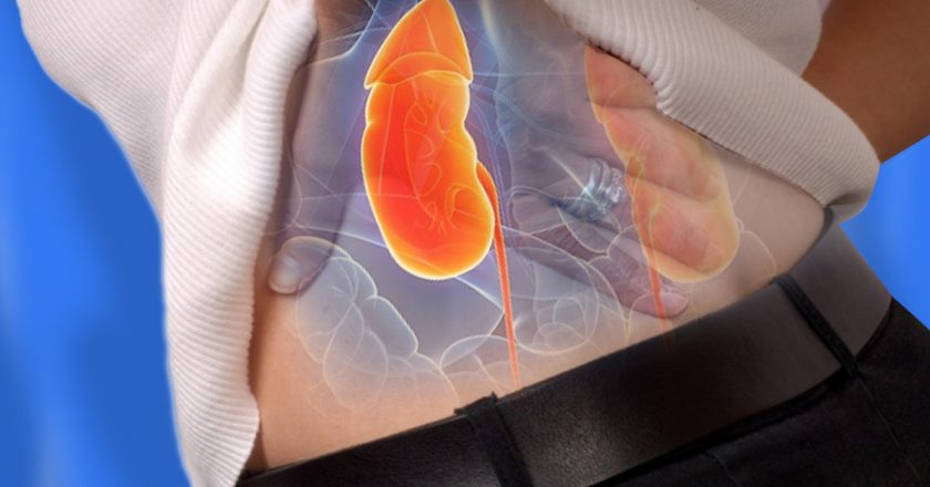 Продукты для почек