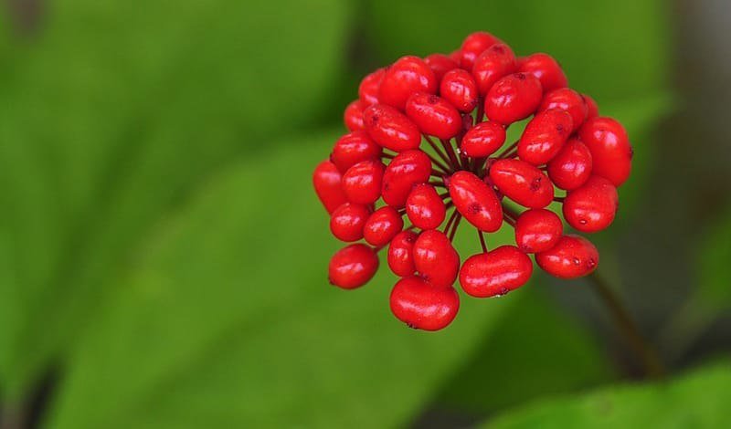 самые полезные продукты