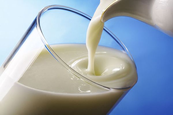 продукты в морозилке