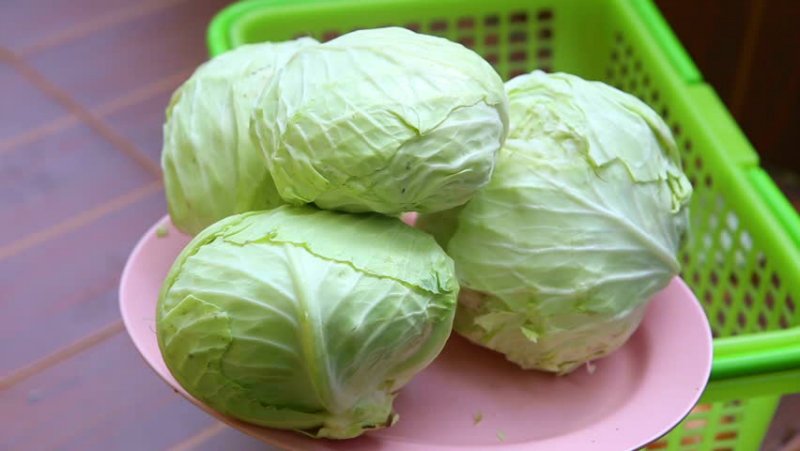 капуста для похудения