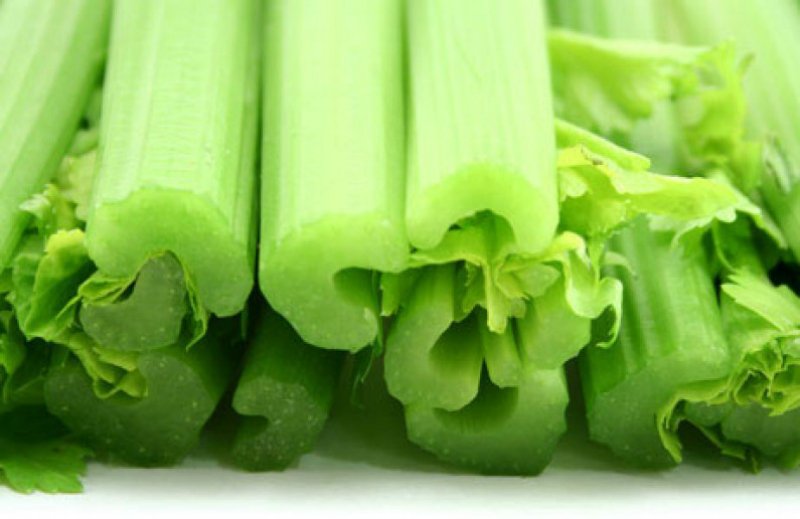 сельдерей для похудения