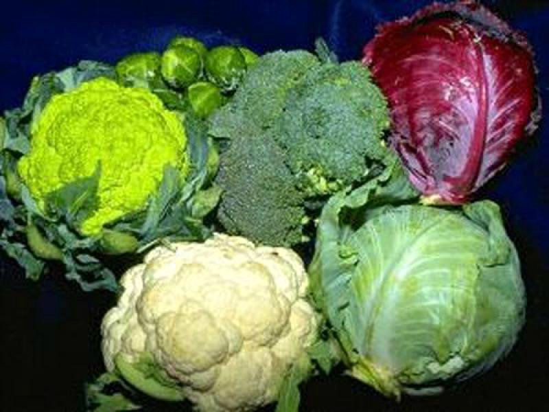 продукты для похудения