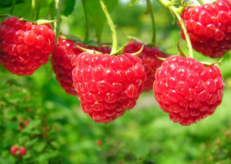 продукты для похудения