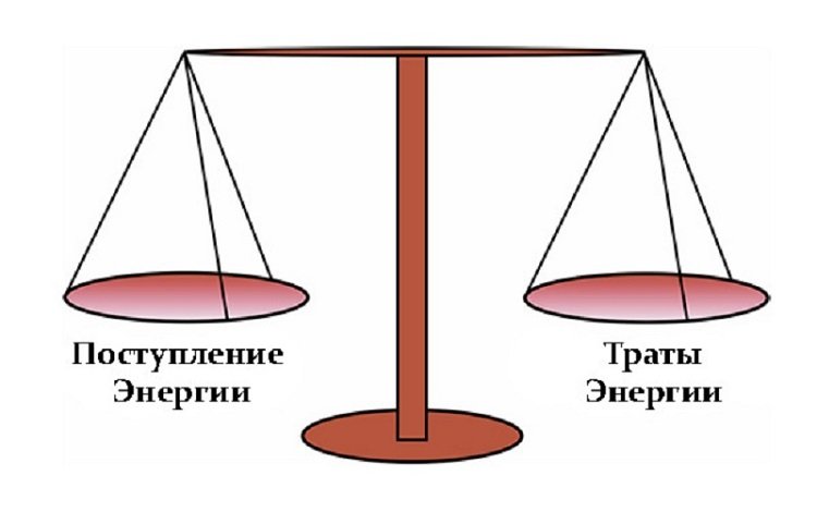 Рацион правильного питания на день