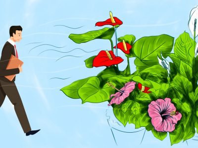 Растения для женского счастья