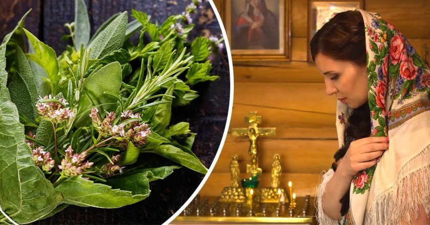 Растения от сглаза