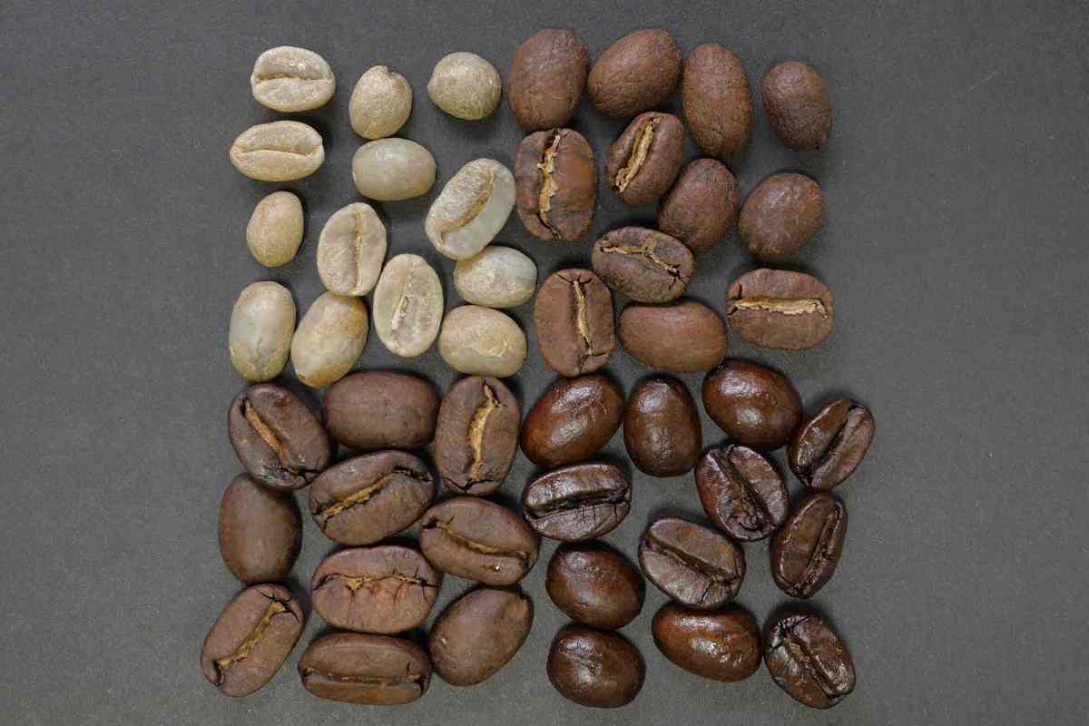 Сорта и разновидности кофе