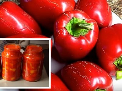 Рецепты лечо
