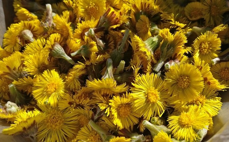 напиток для похудения