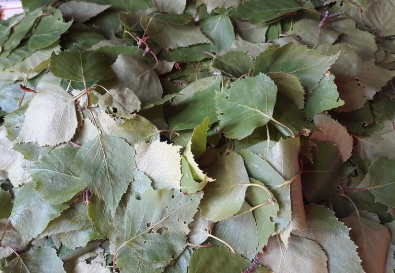 похудеть за 2 недели