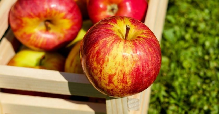 заготовки из яблок