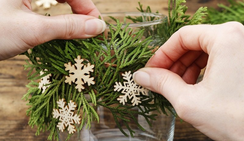 туя для декора