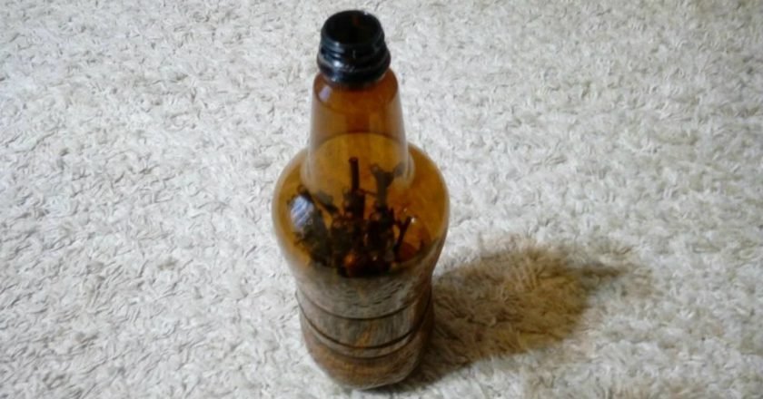 как вырастить розу из черенка