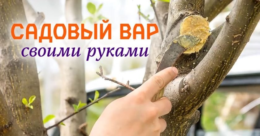 садовый вар своими руками