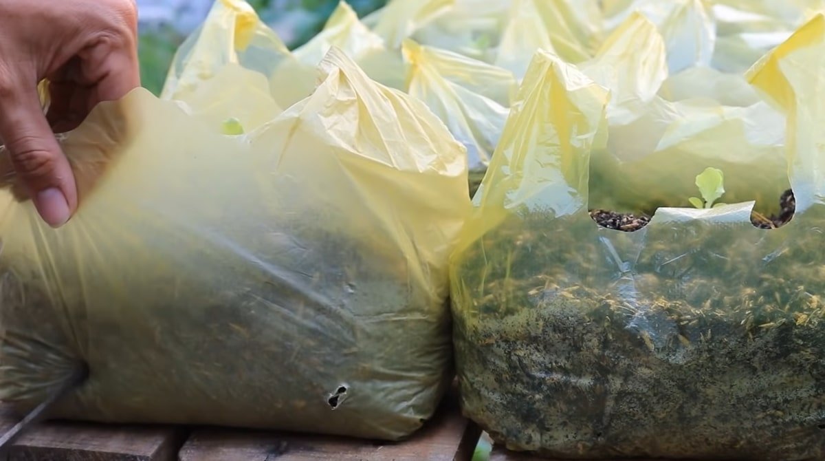 проделывание дырок ножом в каждом пакете