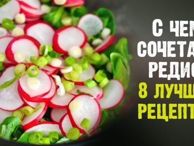 Салаты из редиса