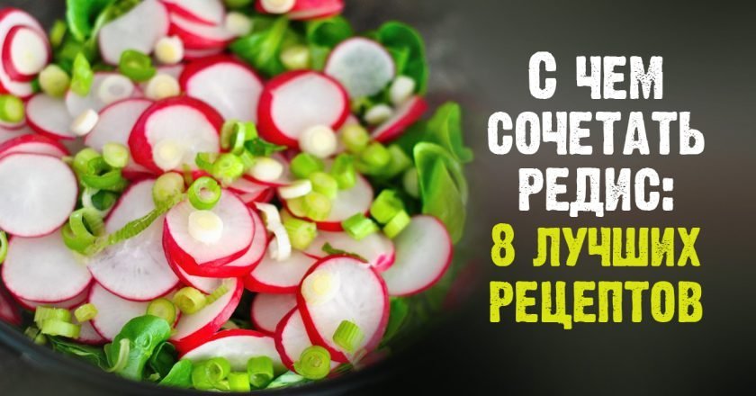 Салаты из редиса Салаты из редиса