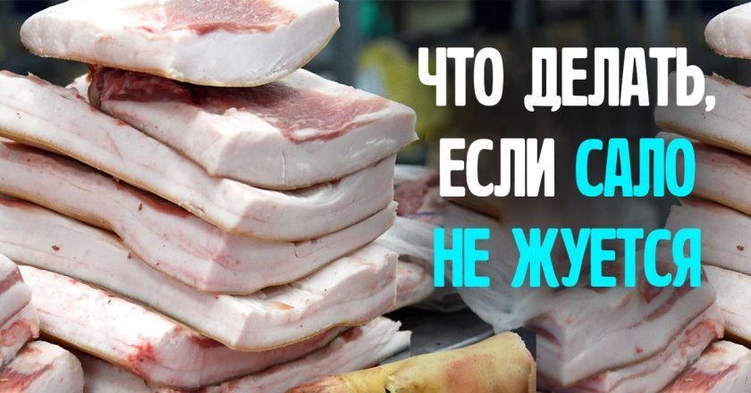 как смягчить сало