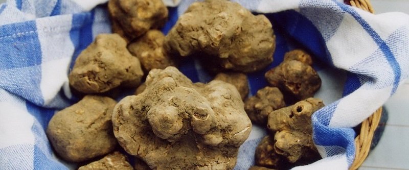 самые дорогие в мире продукты