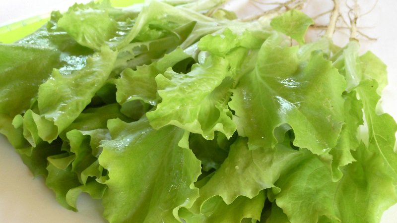 зеленый салат