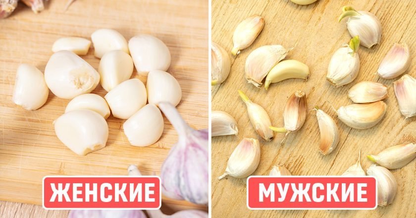 сажать чеснок осенью