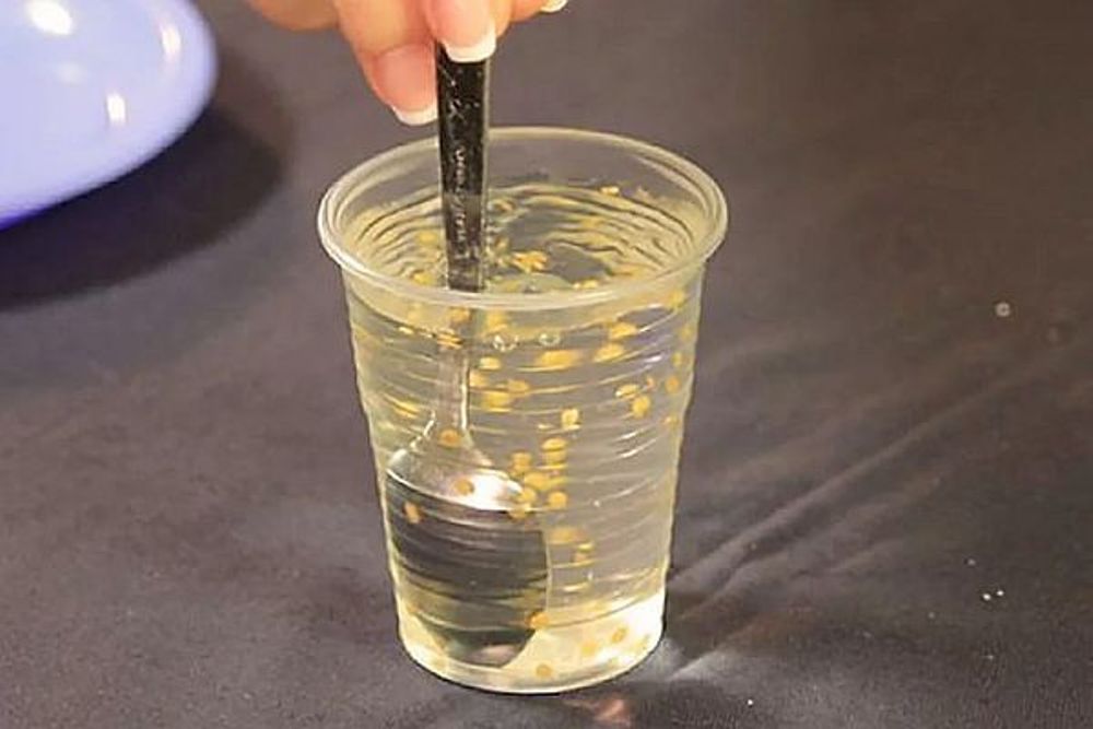 как вырастить помдоры