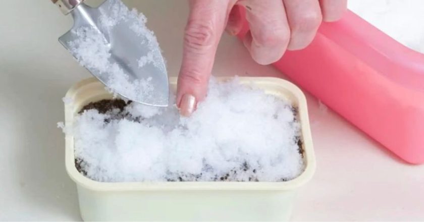 как сеять помидоры в снег