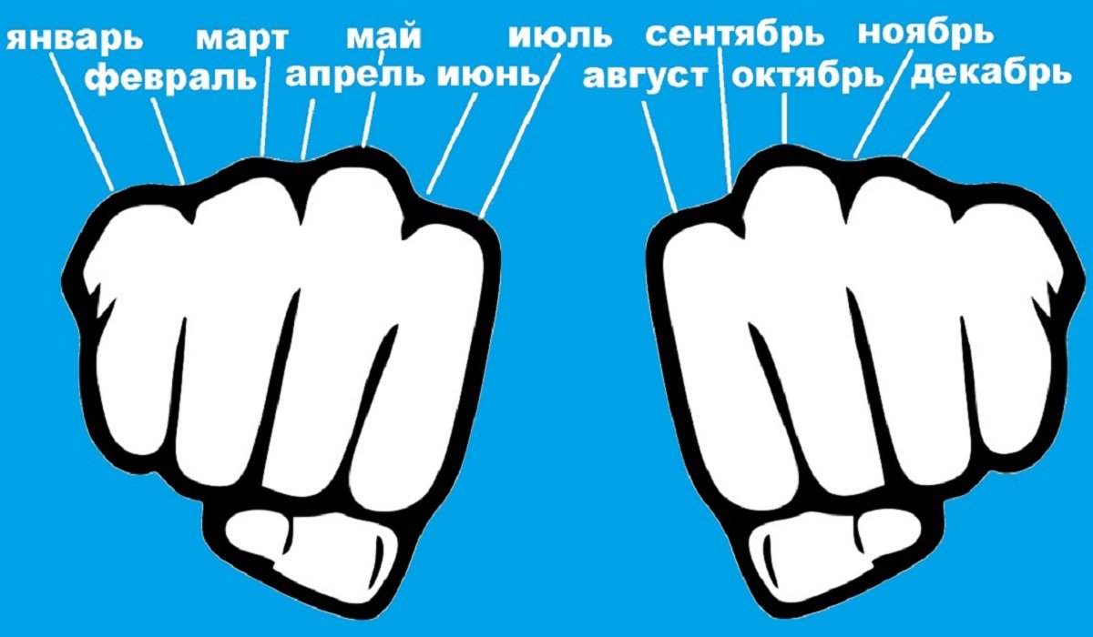 Почему в месяцах разное количество дней. Число дней в месяце по костяшкам. Месяцы по костяшкам пальцев. Как по костяшкам определить сколько дней в месяце. Количество дней по костяшкам пальцев.