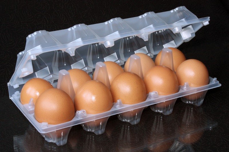 сколько яиц можно есть
